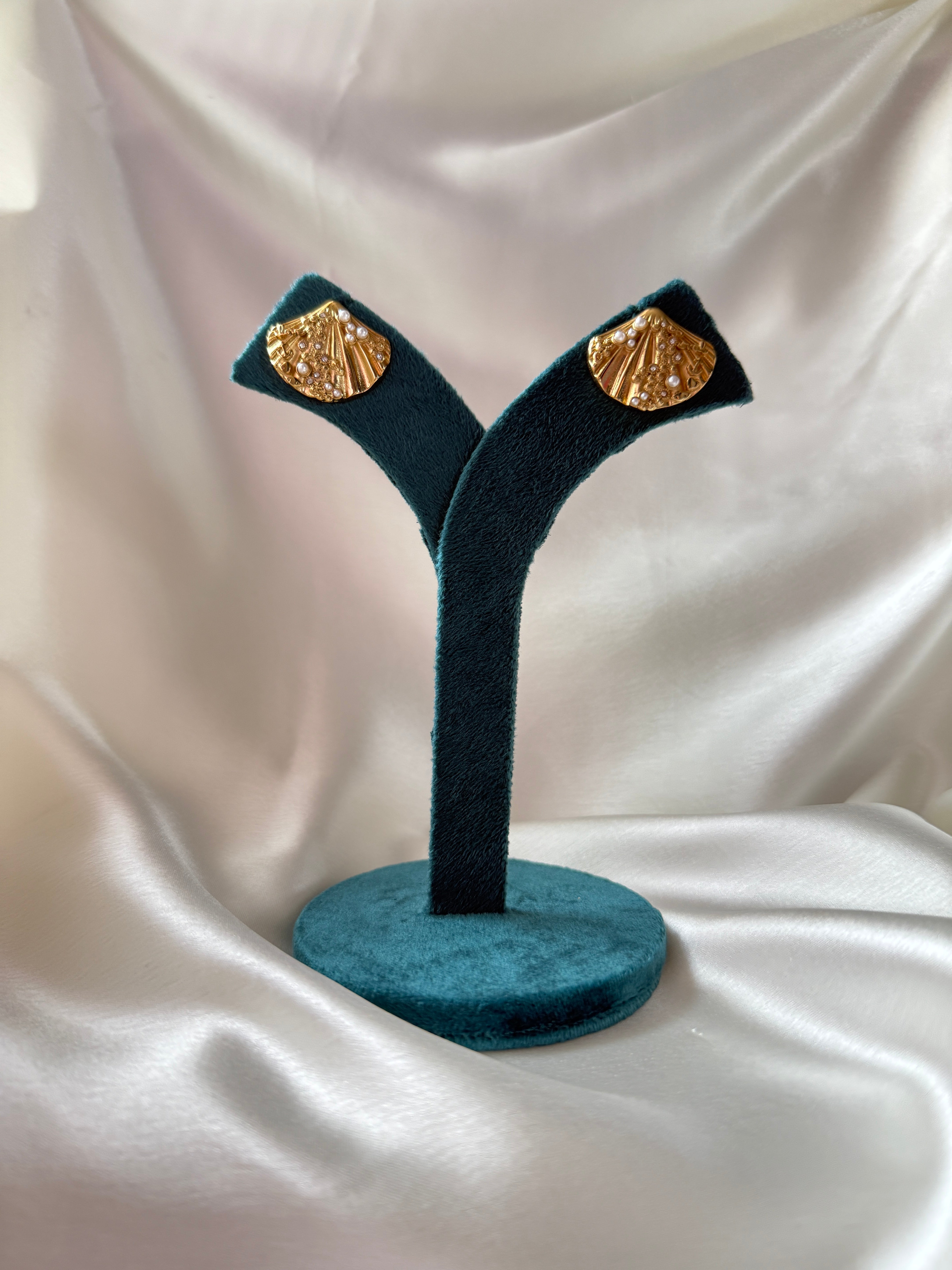 Shell Earrings